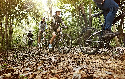 group-friends-ride-mountain-bike-forest-together