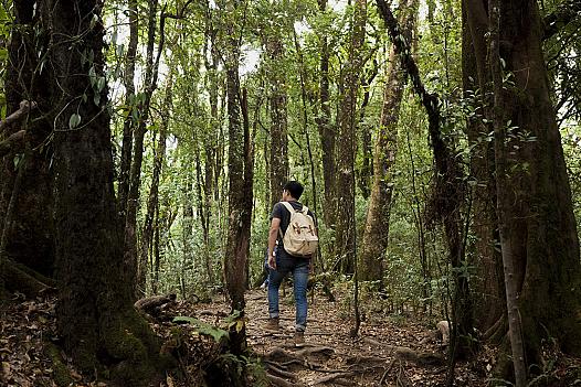 hiker-with-backpack-forest